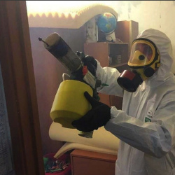 Уничтожение клопов в квартире. Звездная